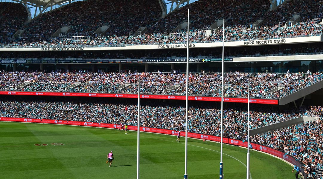 Ribbon Display Installation Photo