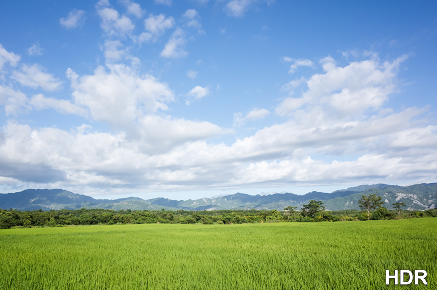 HDR