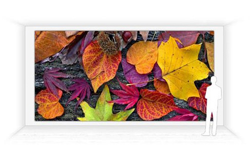 led video wall rendering